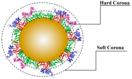 Nanomaterials 12 04319 g003 550