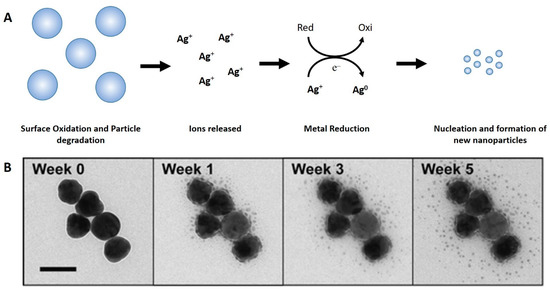 Nanomaterials 12 04319 g004 550