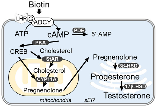 Nutrients 14 04761 g006 550