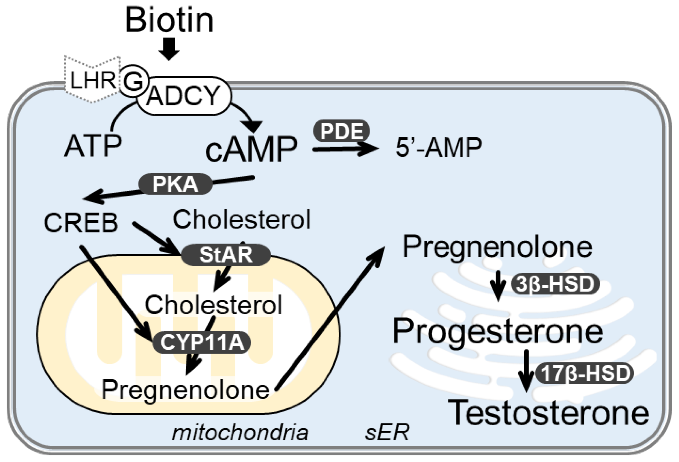 Nutrients 14 04761 g006