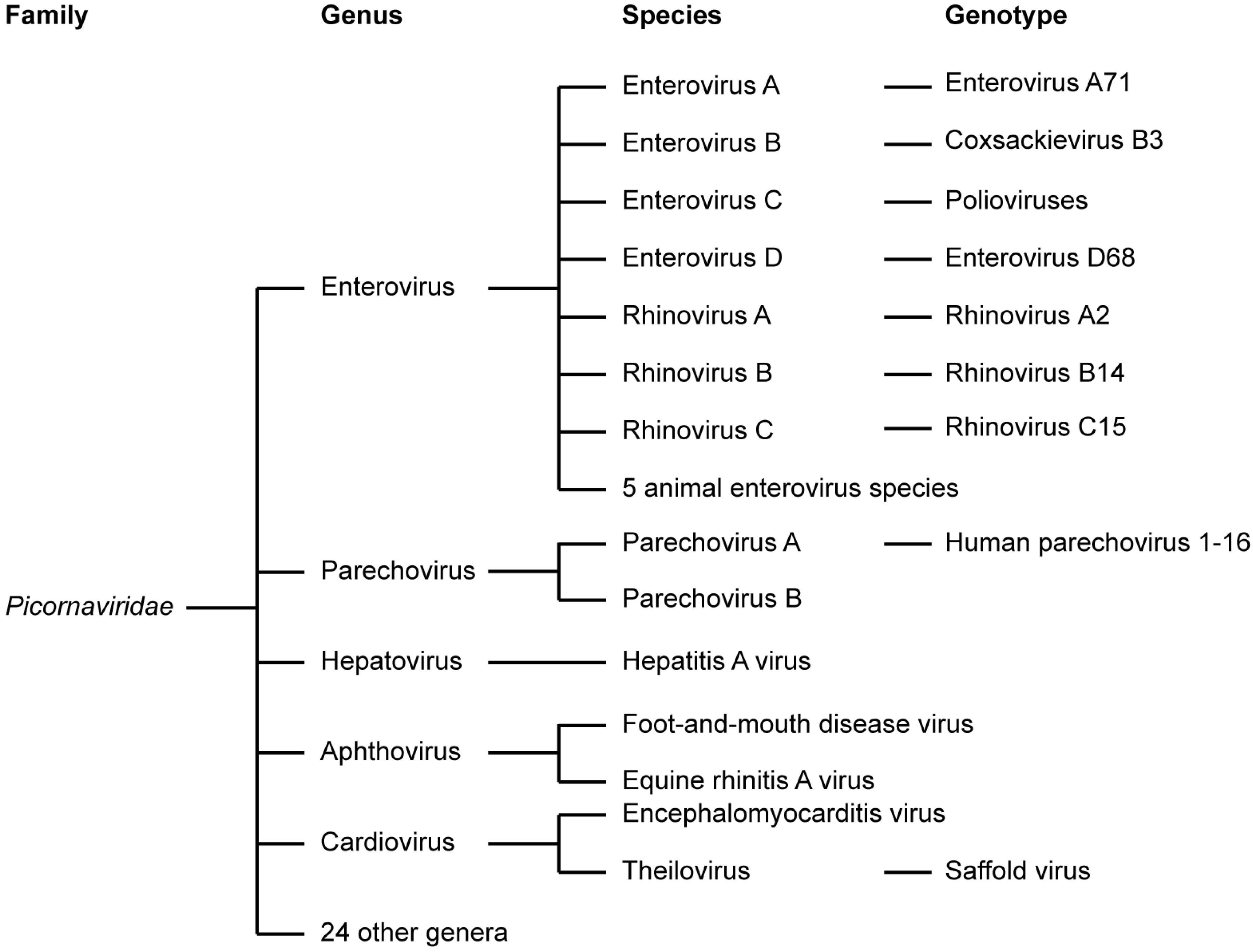 Viruses 07 02832 g001