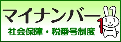 デジタル庁 マイナンバー(個人番号)制度