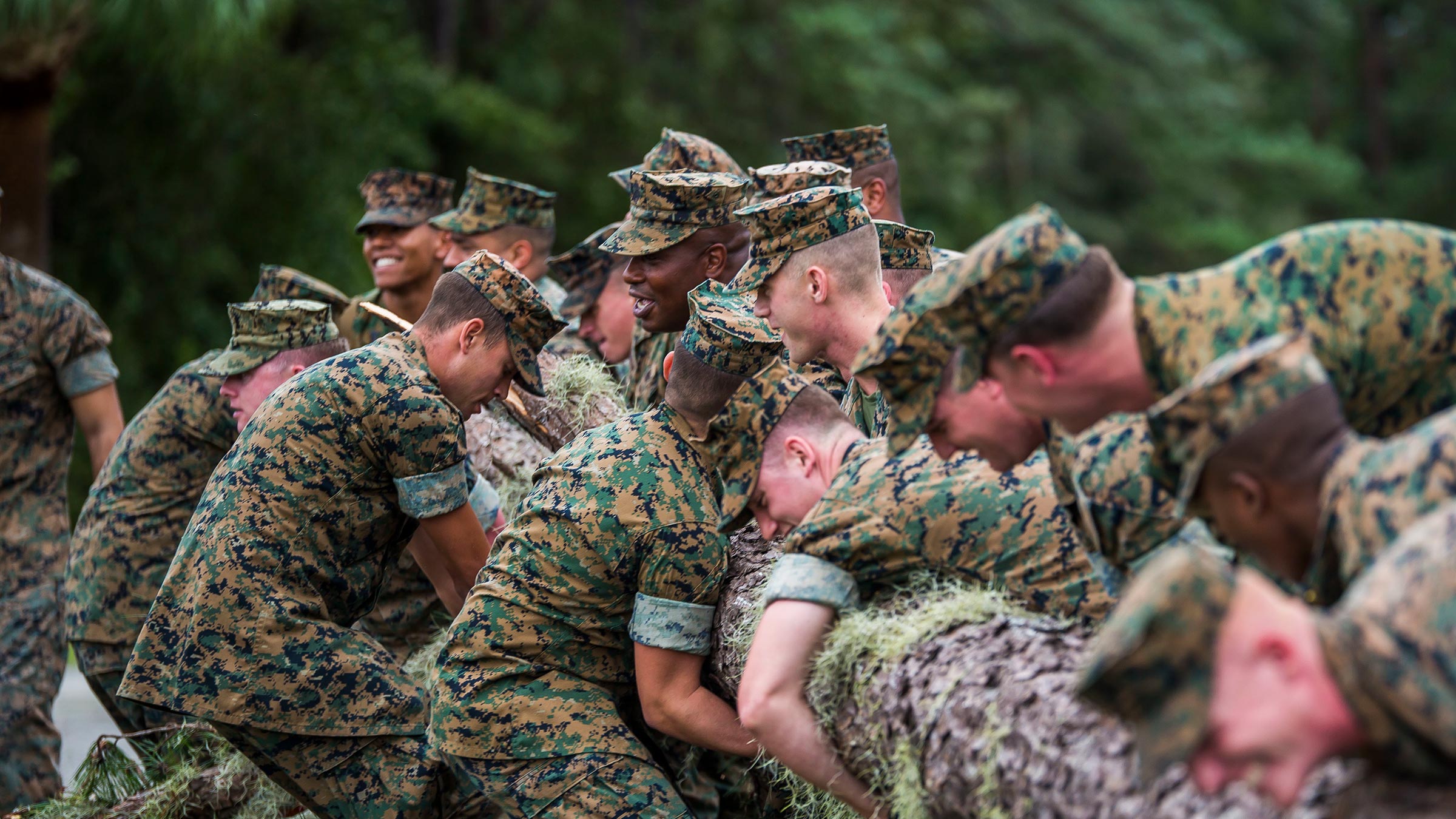 Service Members Pull a Tree