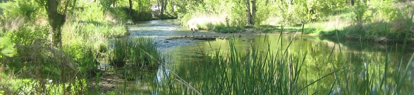 Imagen del río Júcar aguas abajo del Puente de San Julián