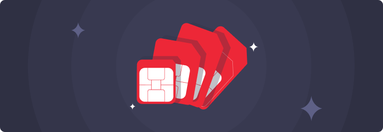 Travel SIM Card