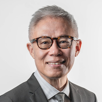 National Gallery Singapore - Board Member - Mr Mok Wei Wei