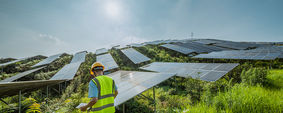 Photo of solar panels on a green hill