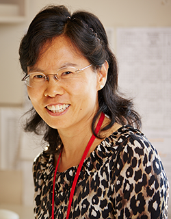 Wuhong Pei, Ph.D.