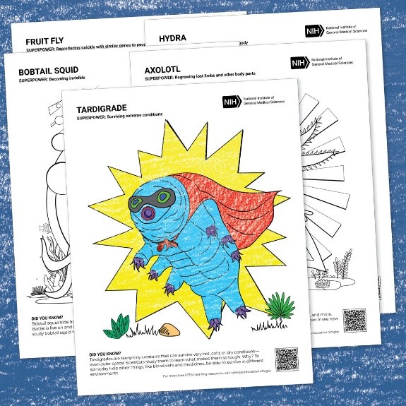 An illustrated and colored tardigrade superhero with other research organism coloring pages behind it.