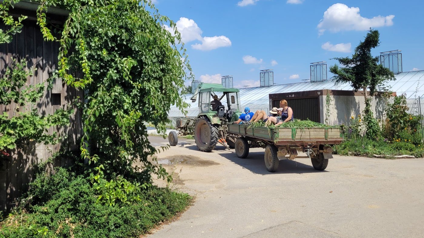 Traktor mit Anhänger, auf dem Menschen sitzen