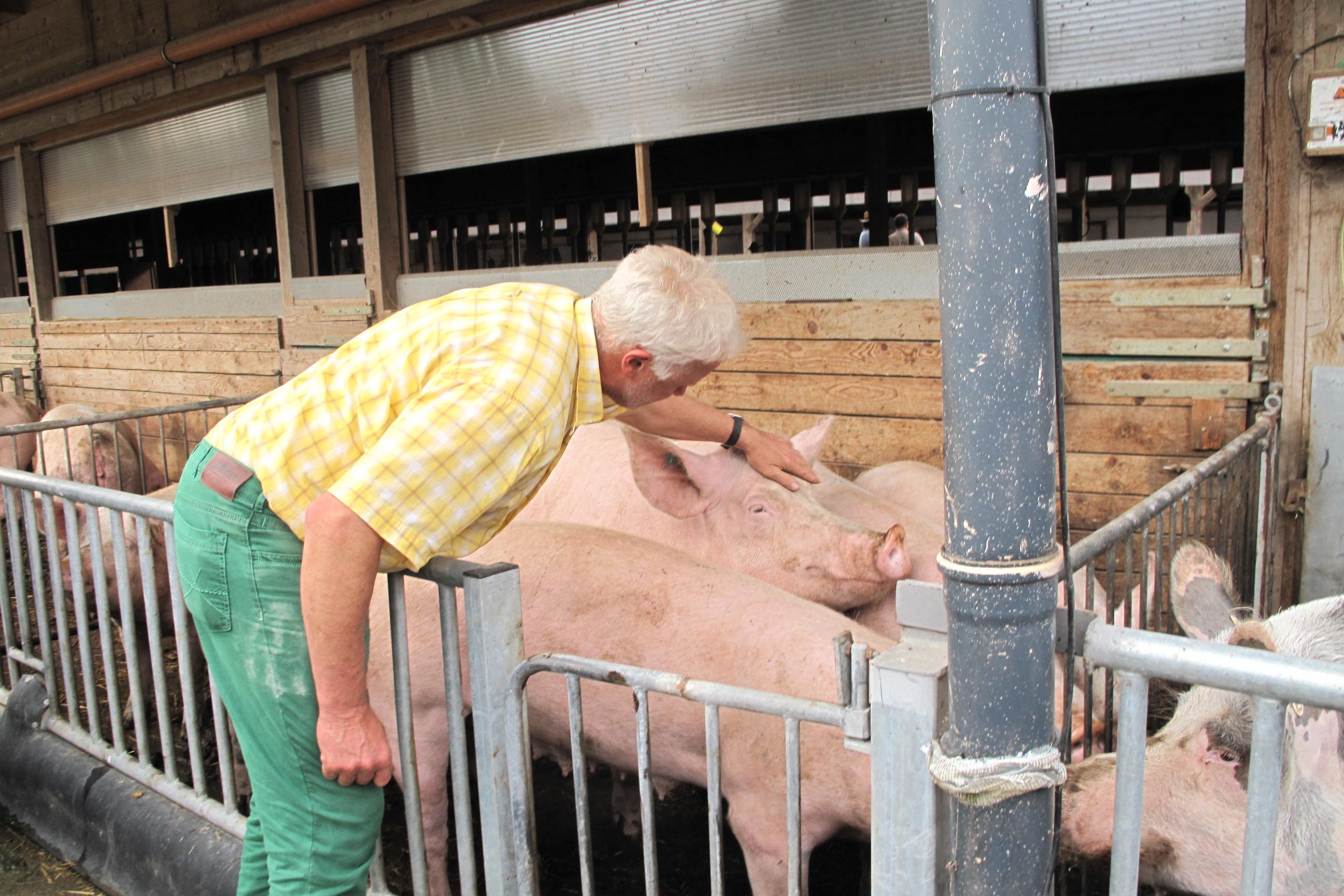 Mann vor Schweinebucht.