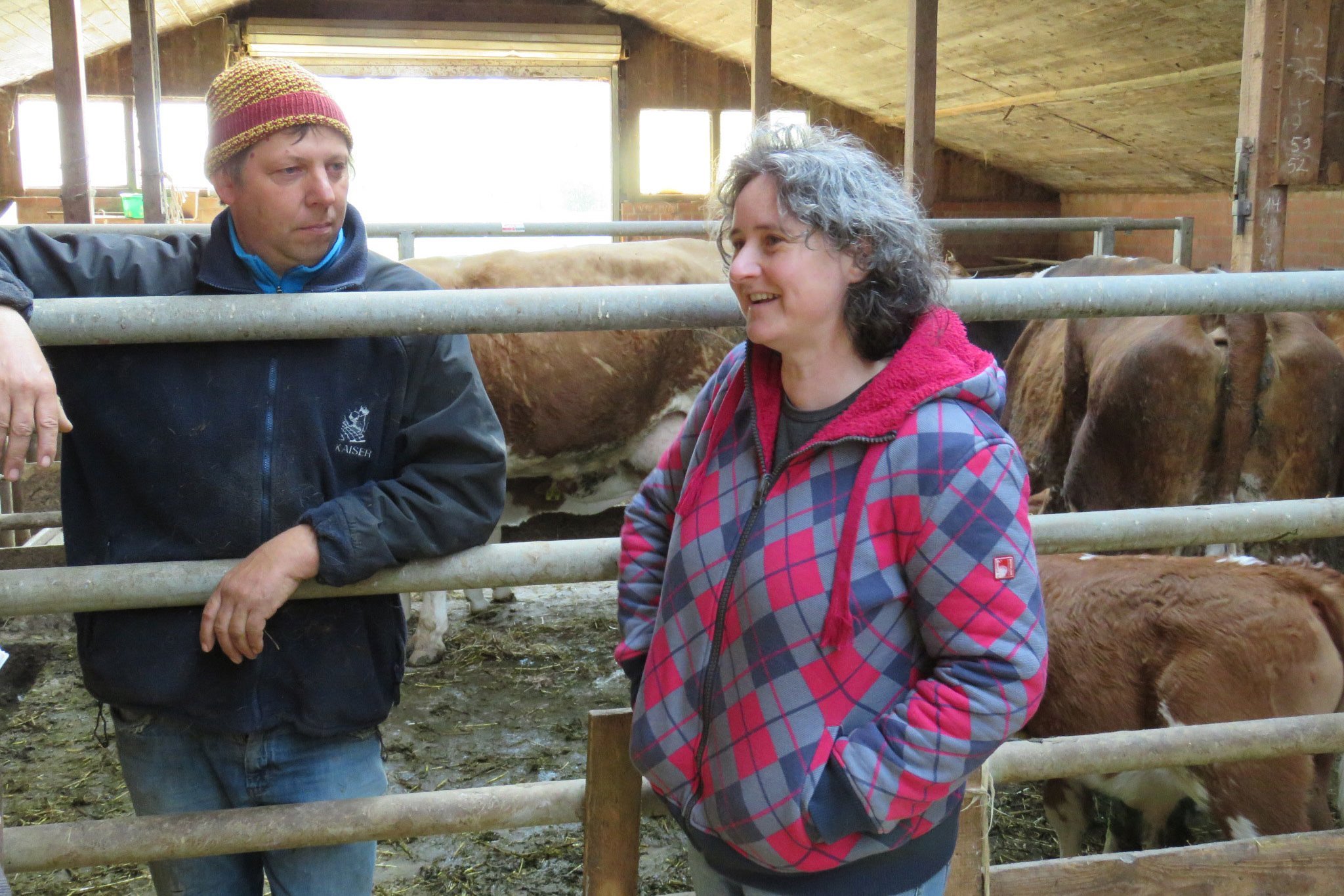 Mann und Frau im Kuhstall.