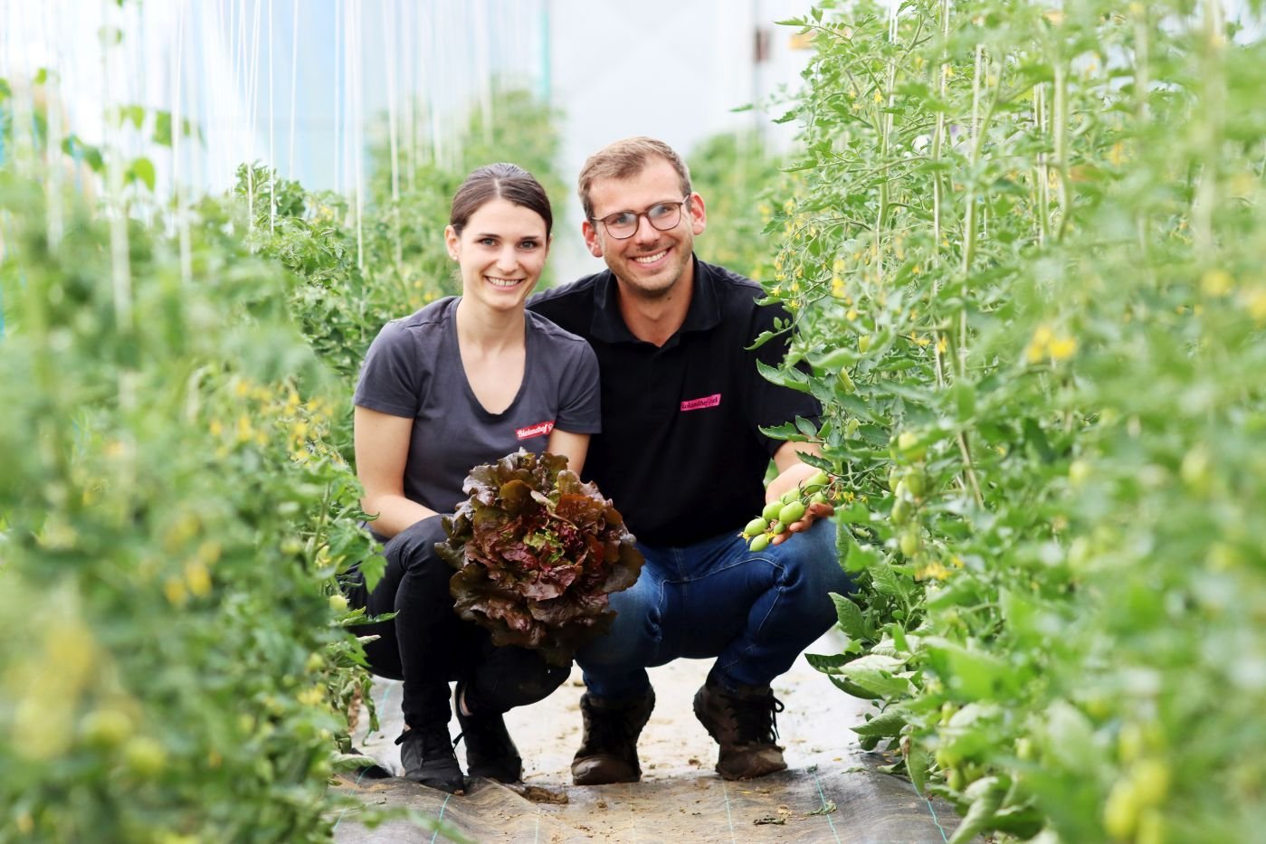 Mann und Frau hocken zwischen Tomatenpflanzen.