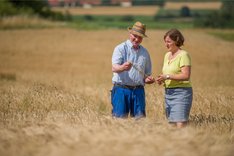 Was Unternehmen für die Biodiversität tun können