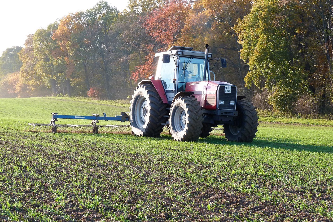 Traktor mit Striegel auf dem Feld