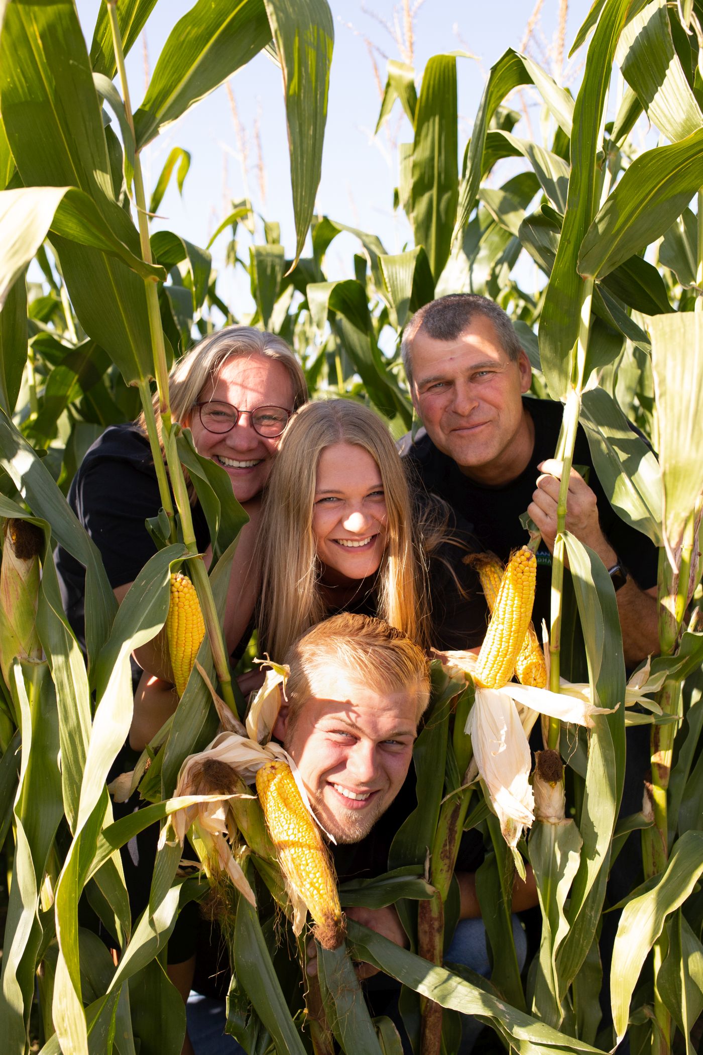 Familie im Maisfeld