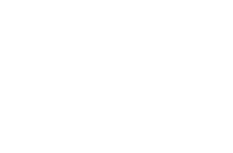 Indetail logo