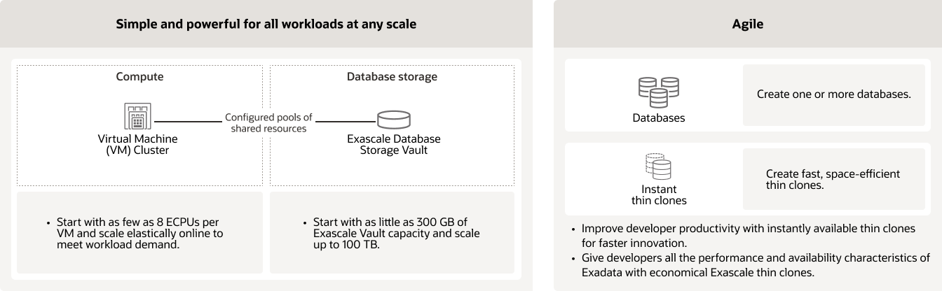 Diagramma di Exascale Infrastrucutre, descrizione di seguito