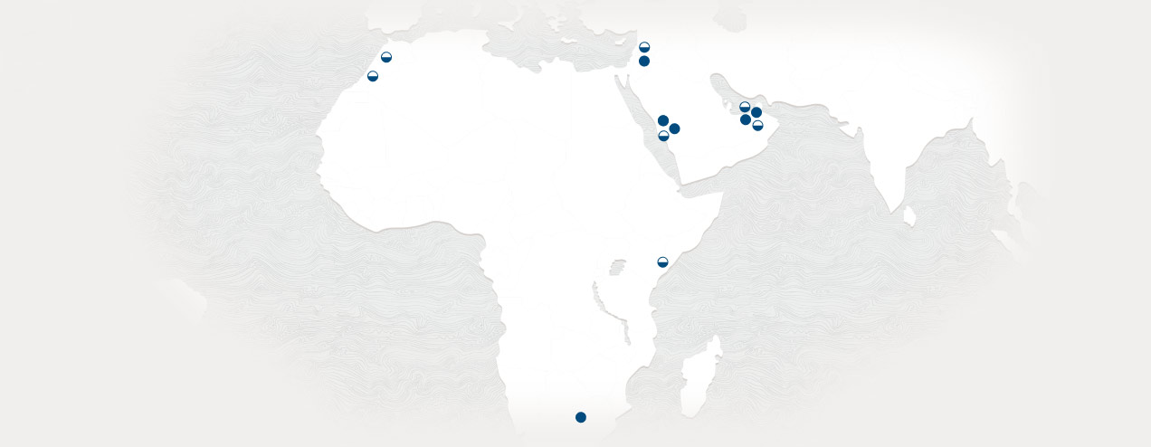 Mappa che mostra le posizioni dei data center Oracle nel Medio Oriente e in Africa