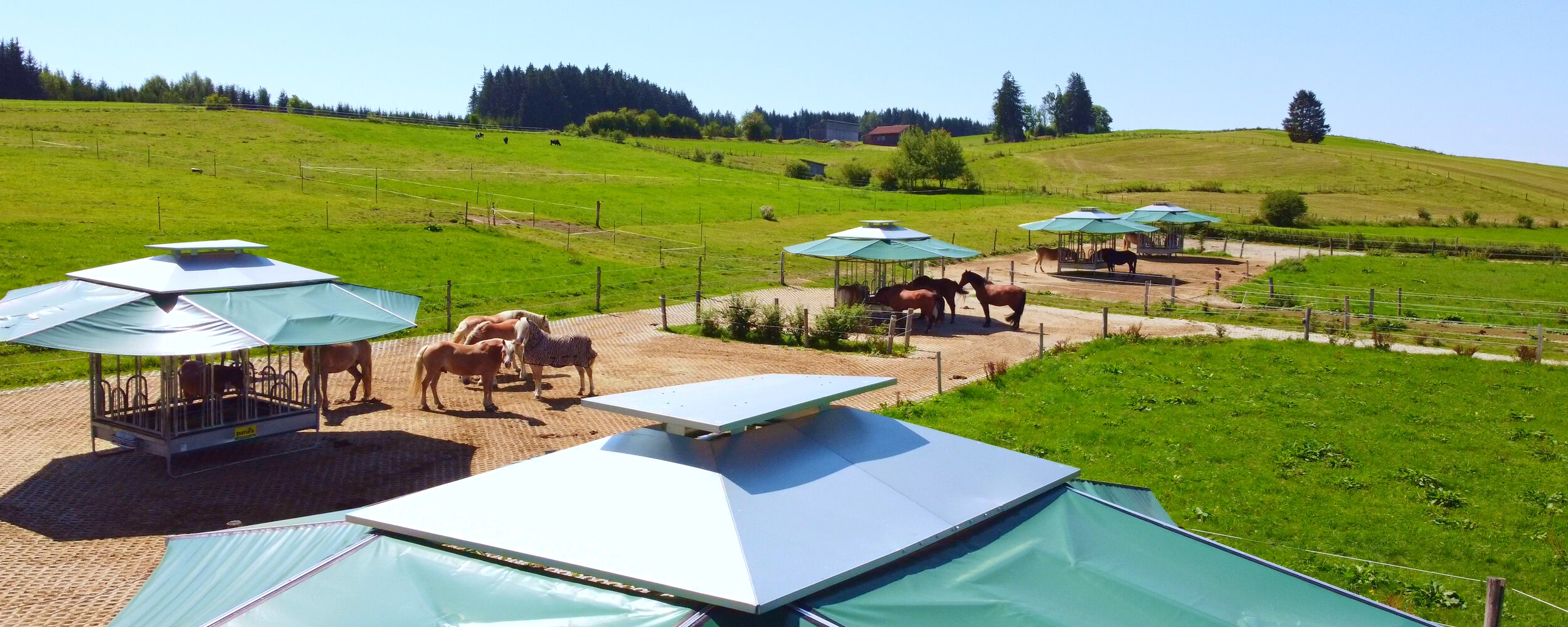 Hof Daylight Ein Paradies für Pferde