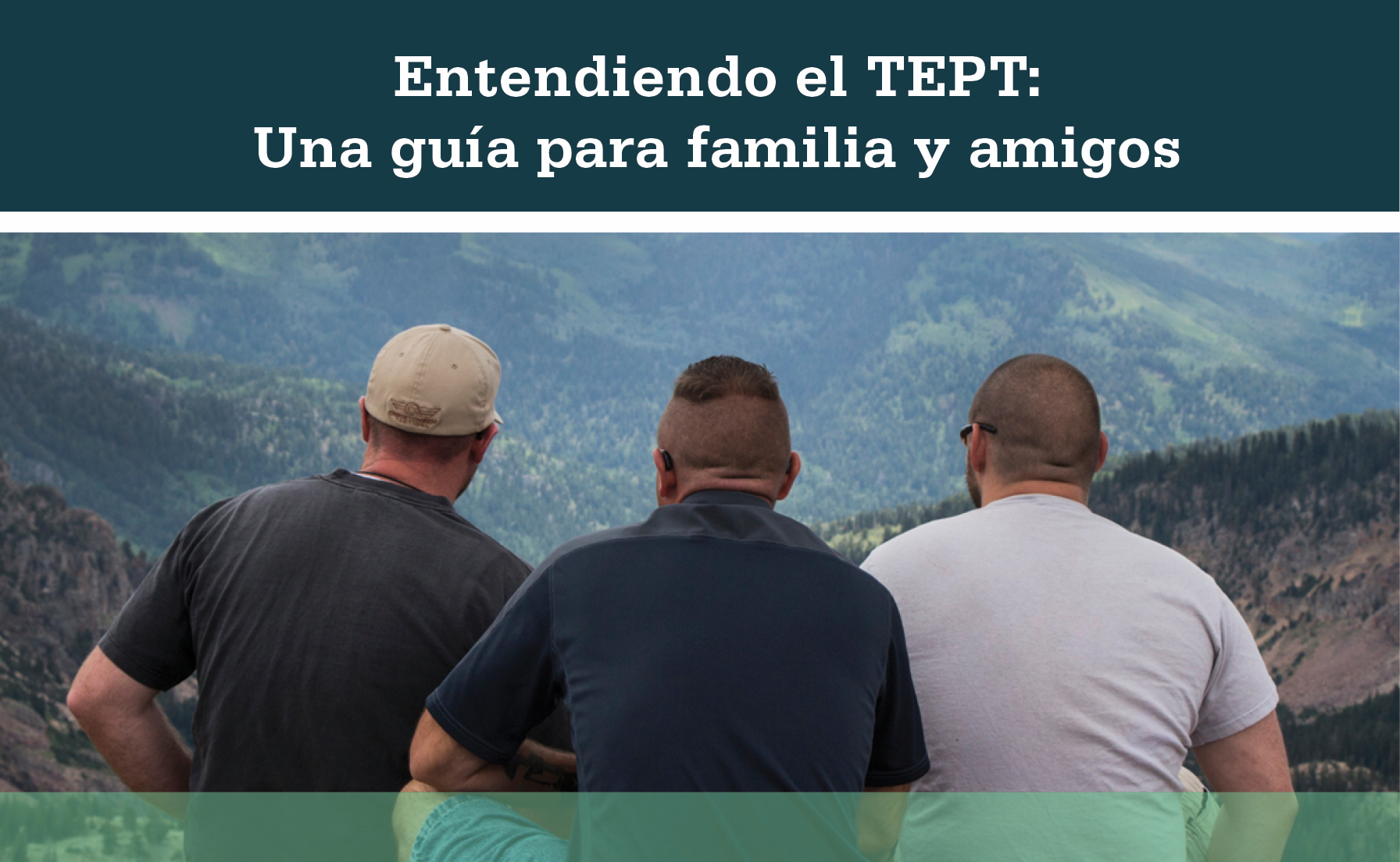 Three male friends sitting with backs to the camera and looking at a mountain range with trees