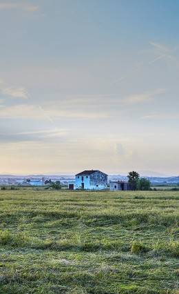 molino roca arroces