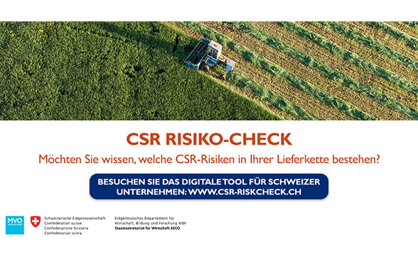 brennpunkt_csr-risiko-check