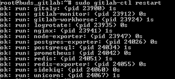 GitLab Restore Backup