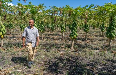 Miguel is a farmer growing lemons in the Dominican Republic. With support from USAID he learned how to use –and started using– organic fertilizers in his farm that introduced new techniques and helped increase productivity. Credit: Romel Cuevas for USAID