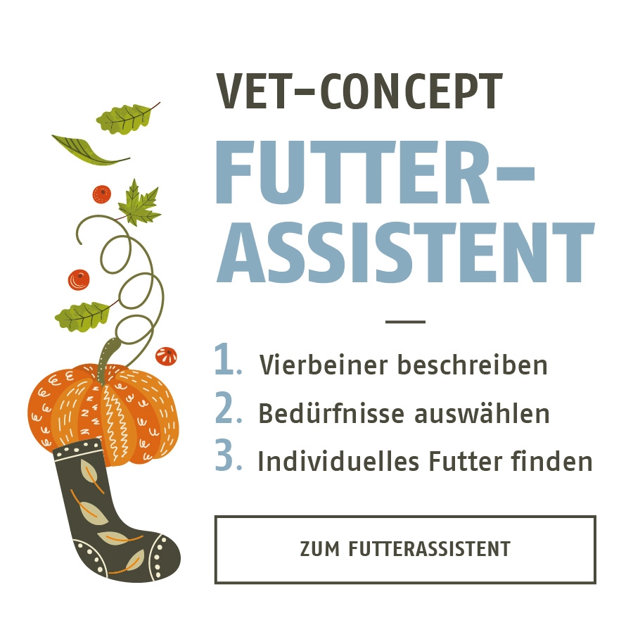 Futterassistent