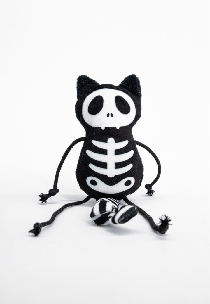 Skeleton cat Sam