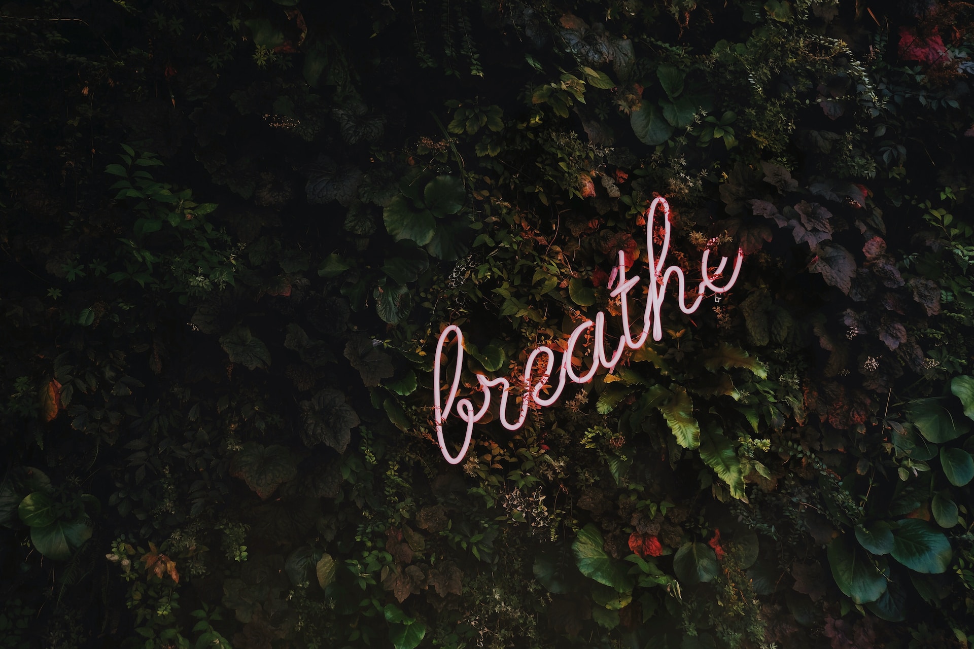 Breath