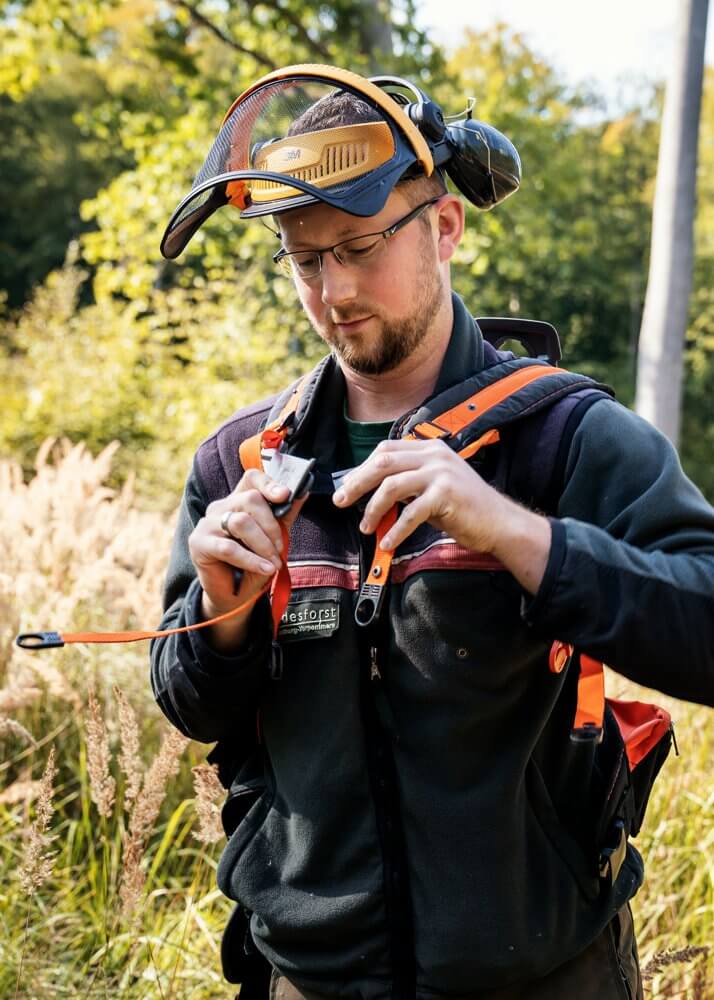 Bild Stellenangebote