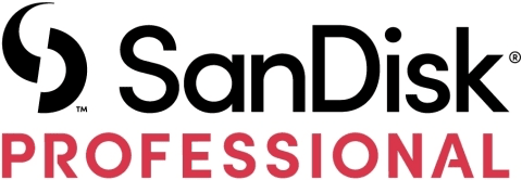 SanDisk Professional 