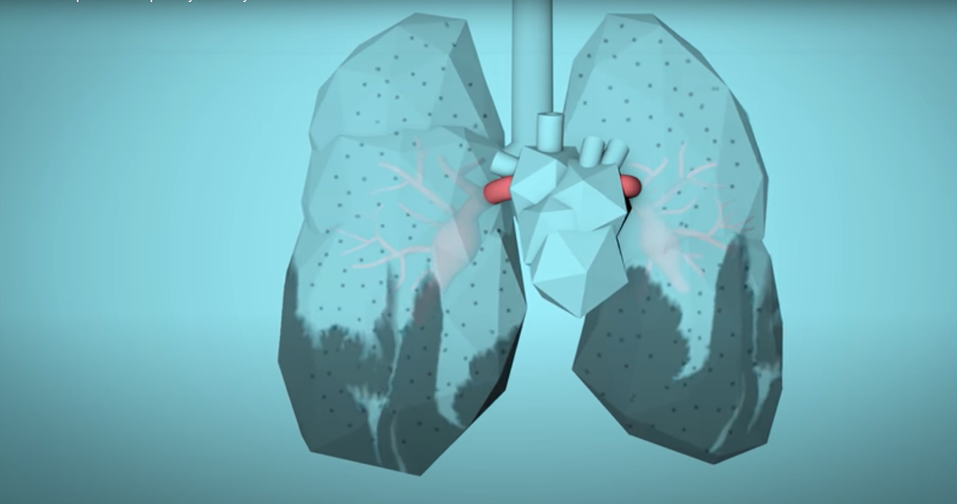 illustration lungs