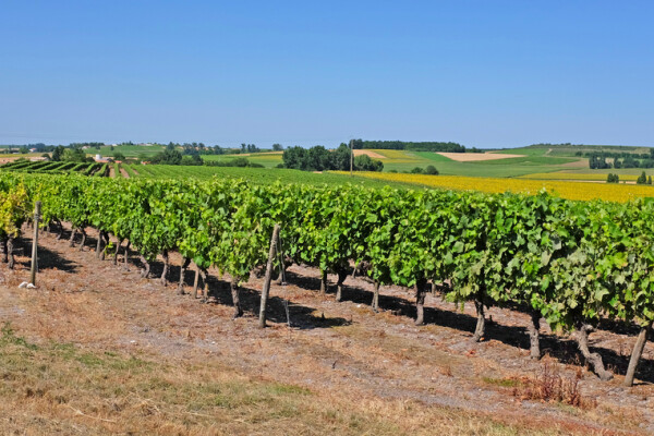 Charente-Maritime