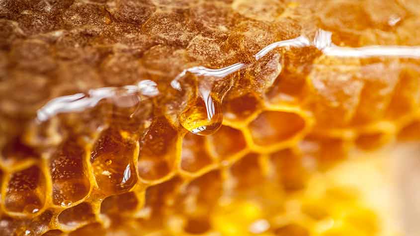 photo of honeycomb