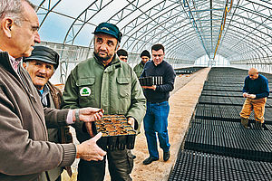 Menschen Landwirtschaft Gewächshaus