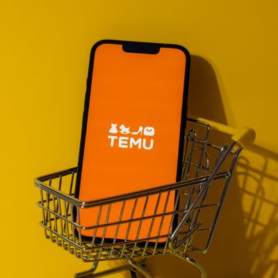 Temu’s owner warns of slowing growth ahead